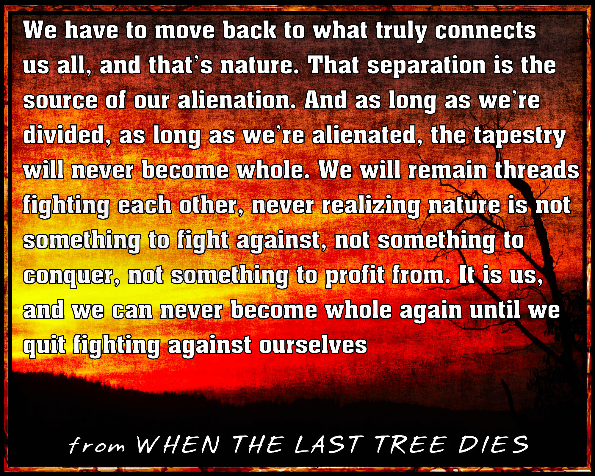 quote from Kate Taylor's dystopian fiction novel WHEN THE LAST TREE DIES, We have to move back to what truly connects us, and that's nature.